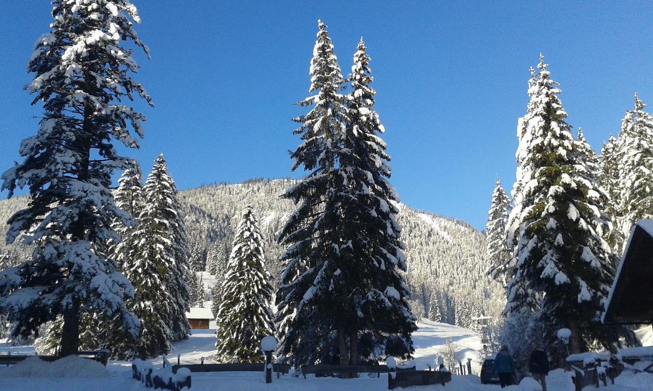 Apartment An Der Traun Bad Aussee Esterno foto